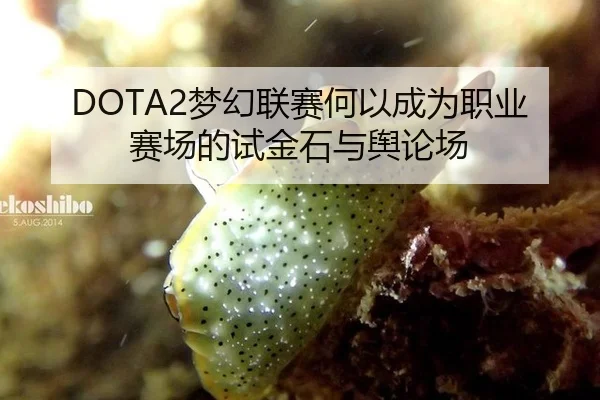 DOTA2梦幻联赛何以成为职业赛场的试金石与舆论场